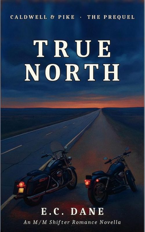 True North
